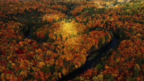 Shadows-moving-rapidly-over-a-colorful-fall-forest,-drone-shot