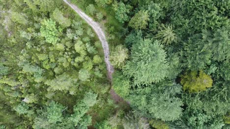 Family-trekking-in-deep-forest-of-Dolomites-mountain,-aerial-orbit-view