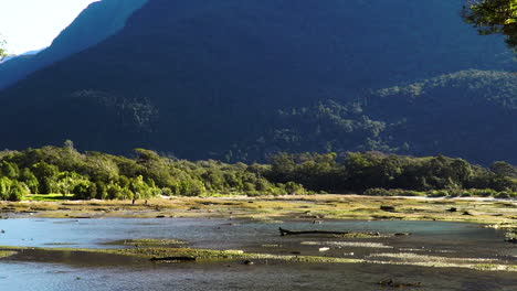 Zoom-in-shot-of-unrecognizable-people-walking-along-riverbed-in-Milford-Sound