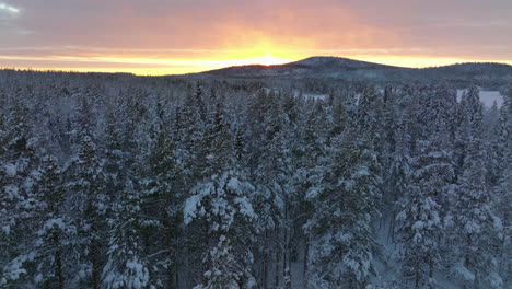 Polar-circle-winter-woodland-landscape-aerial-view-across-golden-sunrise-Lapland-mountains-skyline