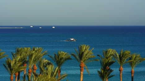 Bootsfahrt-Im-Blauen-Meer-Mit-Palmen,-Die-Im-Sommer-In-Ägypten-Am-Strand-Wehen