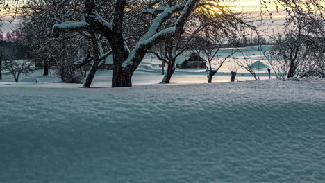 Morgensonne-Aufgehen-Licht-über-Schneebedeckte-Landschaft-Mit-Schnee-Auf-Ästen
