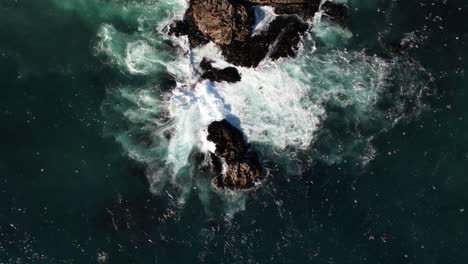 Antenne-Von-Oben-Nach-Unten-über-Wellen,-Die-über-Felsen-In-Matanzas,-Chile,-Krachen