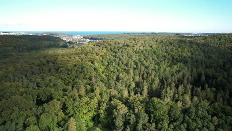 Panoramic-flight-over-a-green-forest-overlooking-the-Bay-of-Gdansk-in-Gdynia---aerial-cinematic-shoot