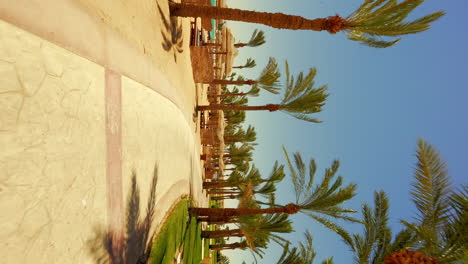 Tiro-Vertical-De-Un-Camino-Alineado-Con-Palmeras-En-Un-Resort-De-Playa-Tropical-En-Hurghada,-Egipto