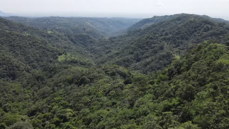 Aerial-view-of-virgin-mountains-with-abundant-vegetation