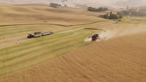Combine-harvester-creating-dust-from-harvesting-canola-plants,-aerial