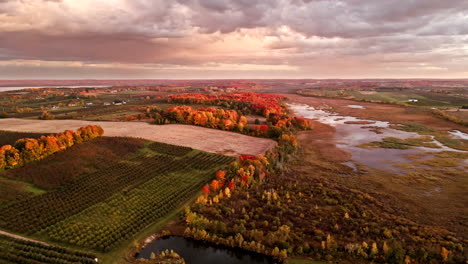 Eine-Drohne-Schoss-Im-Herbst-Bei-Sonnenuntergang-Eines-Kirschgartens-Im-Norden-Von-Michigan