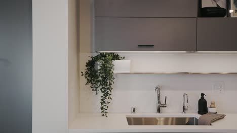 modern-kitchen-sink-and-countertop-with-white-accents-and-a-green-plant-decoration