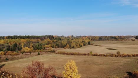 Goldener-Herbst-Luftbild-Lettland-Ländliche-Landschaft