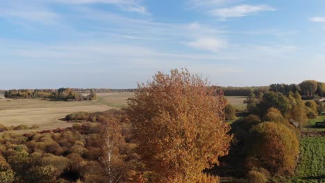 Lettland-Ländliche-Landschaft.-Goldener-Herbst-Luftaufnahme-Gulbene