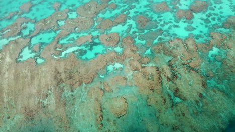 Aerial-orbit-over-huge,-unique-coral-reef,-Isle-of-Pines,-New-Caledonia