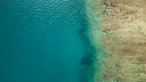 The-crystal-clear-water-shows-the-colors-and-shades-of-the-sand-and-the-coral-reef---straight-down-aerial-view
