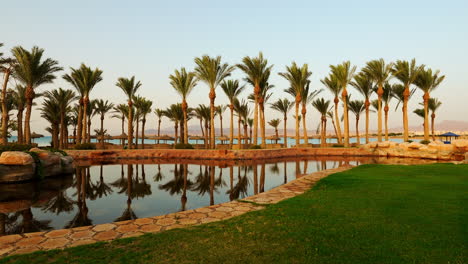 Reflexion-Von-Palmen-Auf-Dem-Ruhigen-Wasser-Des-Pools-Im-Badeort-In-Ägypten