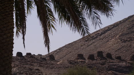Alte-Grabsteine-Auf-Einem-Friedhof-Im-Ländlichen-Sultanat-Oman