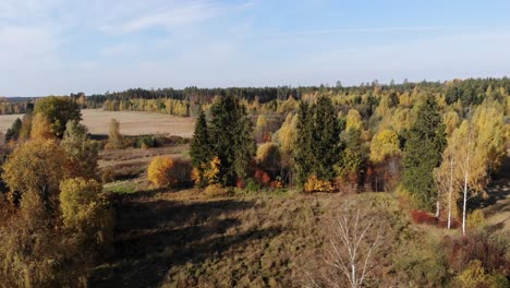 Golden-Autumn-aerial-shot-of-Latvia,-Gulbene