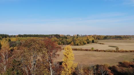 Goldener-Herbst-In-Lettland