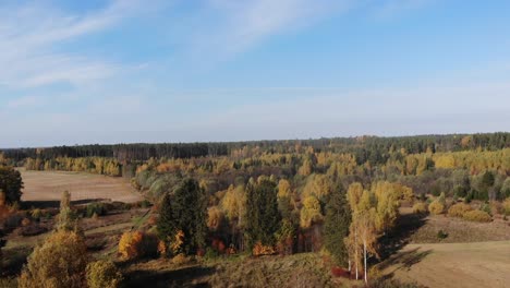 Golden-Autumn-aerial-Gulbene,-Latvia-rural-baltic-landscape