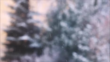 Real-christmas-snow-flakes-falling-at-an-outdoor-forest,-blurry-background-of-trees-with-snow-during-holidays-in-winter-season