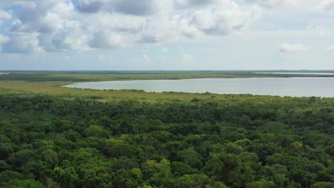 aerial-panoramic-of-Sian-Ka'an-Mangrove-Lake-surrounded-by-dense-greenery-and-vegetation