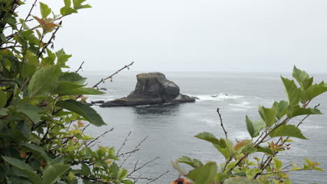 View-of-Ocean-Sea-Stack-Formation-from-behind-green-tree-foliage