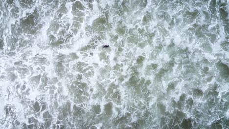 Aerial-top-down-view-of-surfer-waiting-on-surf-board-for-the-perfect-wave