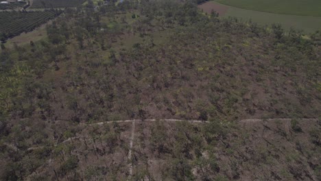 árboles-Y-Campos-Agrícolas-En-La-Ciudad-Rural-De-Arriga-Cerca-De-Walkamin-En-El-Condado-De-Mareeba,-Queensland,-Australia