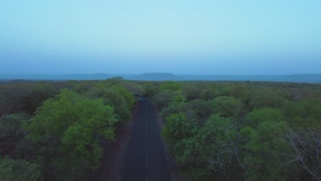 Aerial-Drone-shot-of-Road-through-a-forest-at-Kuno-National-Park-in-morning-time