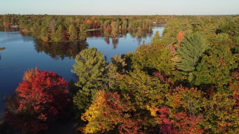 Aerial-view-of-calm-water-surface-surrounded-by-trees-with-colorful-leaves