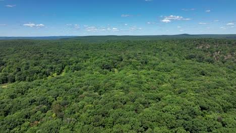 An-aerial-view-of-the-beautiful-green-forests-of-northern-Pennsylvania-in-the-Appalachian-foothills