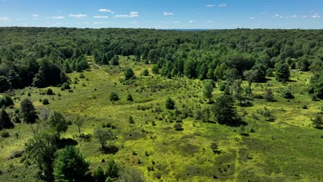 Eine-Luftaufnahme-Der-Schönen-Grünen-Wälder-Und-Wiesen-Von-Nördlichen-Pennsylvania-In-Den-Appalachenausläufern
