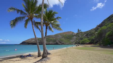 Palm-trees-and-beach-at-Hanauma-Bay,-Oahu-Hawaii