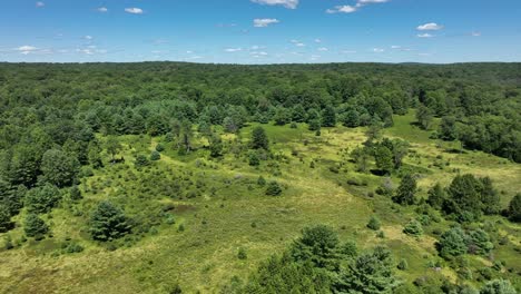 Eine-Luftaufnahme-Der-Schönen-Grünen-Wälder-Und-Wiesen-Von-Nördlichen-Pennsylvania-In-Den-Appalachenausläufern