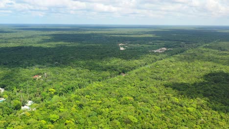 Luftpanorama-Des-Endlosen-Dschungels-In-Tulum-Mexiko-Während-Des-Sonnigen-Sommertages