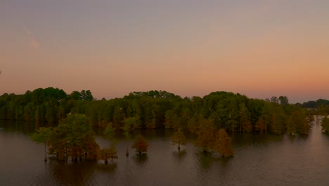 Rotating-drone-footage-of-trees-in-the-middle-of-stumpy-lake-in-the-Virginia-Beach-area-during-sunset-with-birds-flying-amidst-the-trees