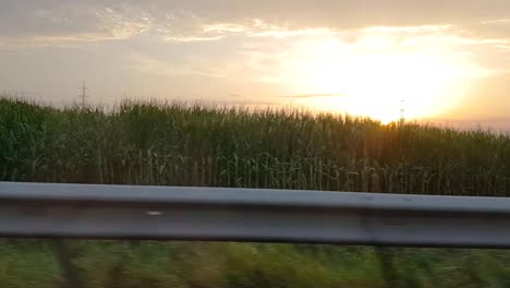 Traveling-on-German-autobahn-past-corn-fields-during-sunset
