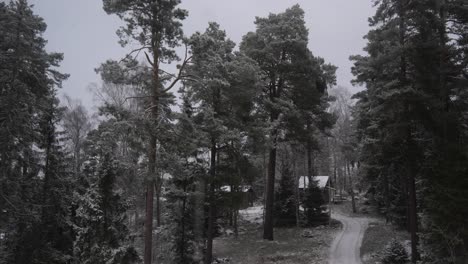 Snowy-forest-in-sweden,-small-path-with-a-hut