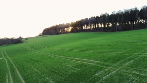 Ascending-while-panning-to-the-left-over-agricultural-field-in-Germany