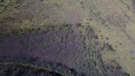 Drone-flying-over-edge-of-inactive-volcano-past-field-to-road-with-cars-in-Kauai,-Hawaii