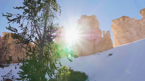 Orange-rock-with-snow-in-Bryce-Canyon-with-trees-and-sunlight