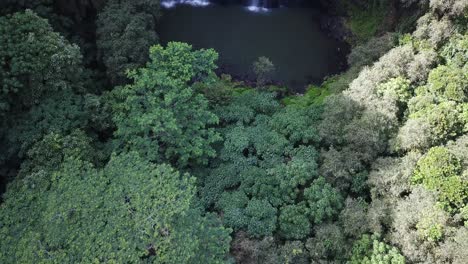 Slow-drone-pan-up-from-rainforest-canopy-to-reveal-lake-and-watefall-in-Kauai,-Hawaii,-United-States-on-sunny-day