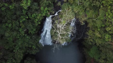 Drone-Volando-Hacia-Atrás-Y-Panorámico-Para-Mostrar-Detalles-En-Cascada-Y-árbol-En-La-Selva-Tropical-En-Hawaii