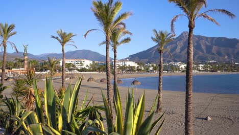 Gimbal-slow-moving-Puerto-Banus-beach-with-plants-and-palm-trees-in-forground,-la-concha-mountain-in-background,-holiday-spot-near-Marbella,-Malaga,-spain