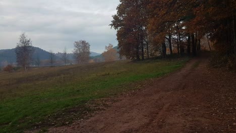 Beautiful-German-landscape-during-fall-season