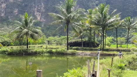 Crossing-over-a-wooden-bridge-over-small-ponds-with-a-view-of-hills-in-Rammang-Rammang,-Makassar,-Indonesia