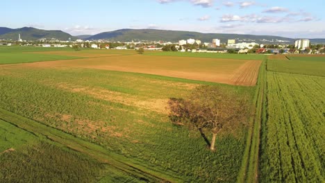 Aerial-view-of-agricultural-landscape-with-mountains-in-the-background-and-cumulus-clouds-in-the-sky-in-Plankstadt-Germany