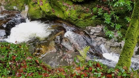View-from-above-of-a-waterfall-stream-in-the-black-forest-in-Germany,-Europe