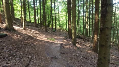 Hiking-at-day-time-through-beautiful-winding-narrow-forest-path-in-summer,-Heidelberg-Germany