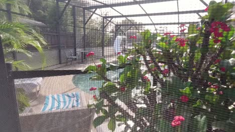 View-of-pool-deck-behind-enclosure-netting,-Kissimmee-Florida