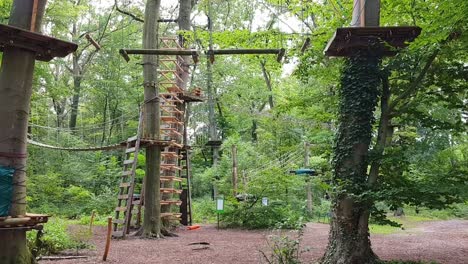 Recreational-climbing-on-trees-with-zip-line-above-ground-in-forest